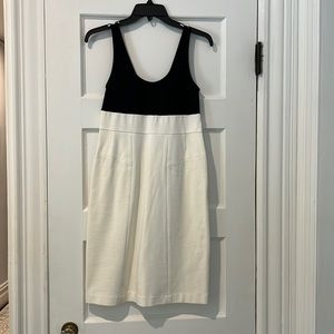 Beautiful Theory Dress